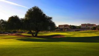 Arabian Ranches Golf Club 811